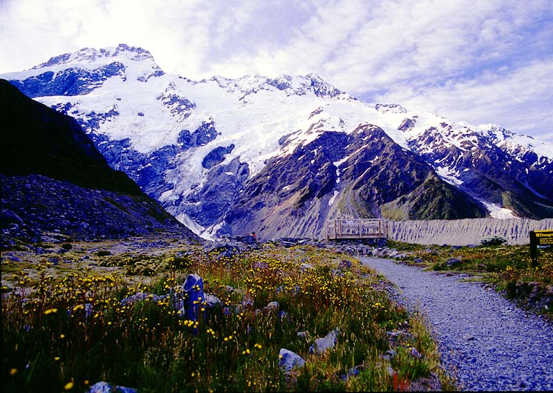 nz060.jpg